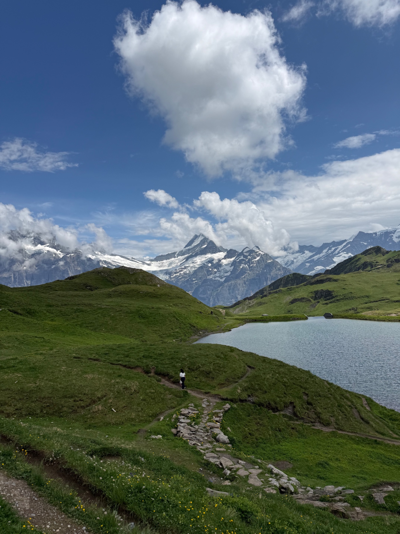 A green trail beside an alpine lake with snowy peaks and big white clouds